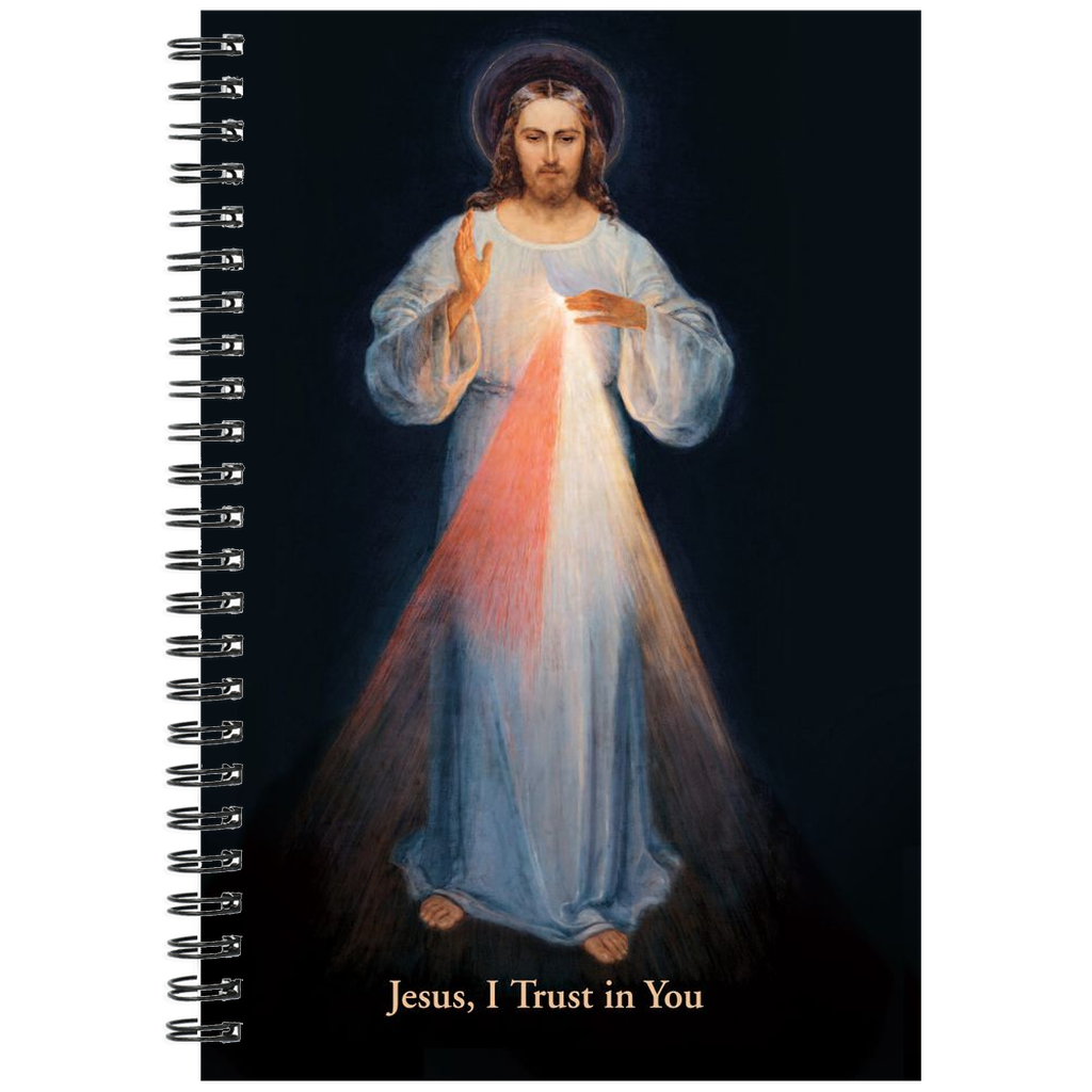 Notebook-6x8-Spiral-Graph-White-120-20250217110643784